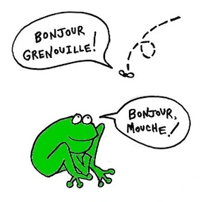 French Flies comic