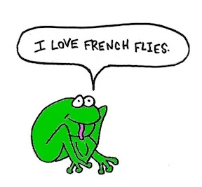 French Flies comic