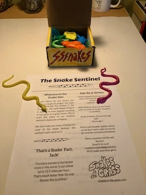 Snake gift box