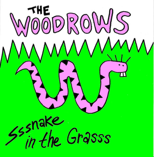 Snake in the Grass album cover