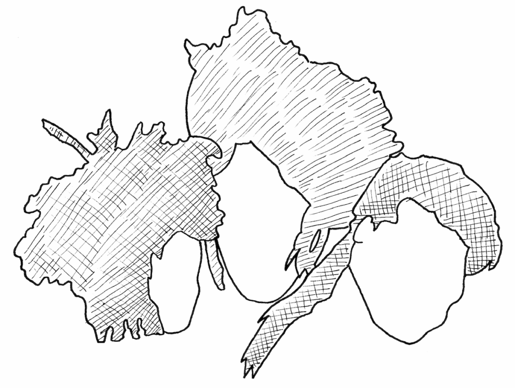 Thompson Twins drawing