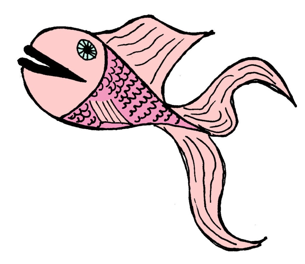 Pretty pink fish